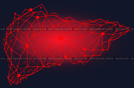 Polygonal human liver made of red lines and dots. Medical research of internal organs, innovative approach concept. Organ of human digestive system. Modern depiction of external secretion gland, liver. Polygonal human liver, external secretion gland. Modern depiction of organ of human digestive system. Стоковая иллюстрация, агентство Ingram Publishing / Фотобанк Лори