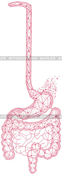 Polygonal stomach and intestines. Medical research of internal organs, innovative approach concept. Human digestive system illustration. Modern depiction of organs for digesting and assimilating food. Polygonal stomach and intestines. Modern depiction of digestive system organs for digesting food. Стоковая иллюстрация, агентство Ingram Publishing / Фотобанк Лори