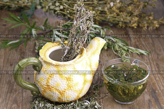 Полынь горькая (Artemisia absinthium L. ) чайный напиток. Полынь применяется в народной медицине,кулинарии,парфюмерной промышленности. Стоковое фото, фотограф Наталия Кузнецова / Фотобанк Лори