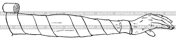 Ползучая повязка. Способы наложения бинта. Стоковая иллюстрация, иллюстратор Макаров Алексей / Фотобанк Лори