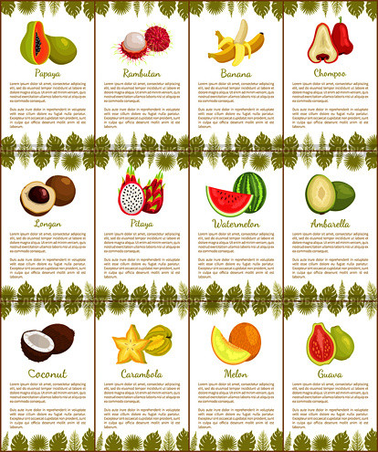 Pomelo and longan, coconut and citron, passion fruit and mango slice. Carambola and cupuacu, papaya and watermelon, salak and marang posters vector. Pomelo and Longan Posters Vector Illustration. Стоковая иллюстрация, агентство Ingram Publishing / Фотобанк Лори