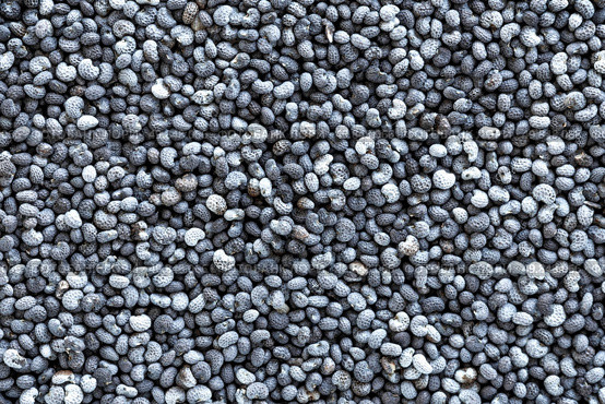 Poppy seeds background. Стоковое фото, агентство Ingram Publishing / Фотобанк Лори