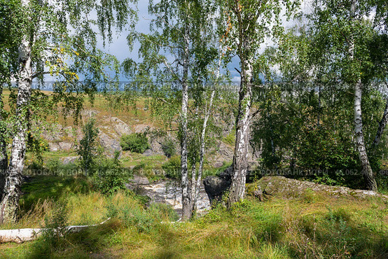 Порог Ревун на реке Исеть, Каменский городской округ, Свердловская область (2024 год). Стоковое фото, фотограф Pukhov K / Фотобанк Лори