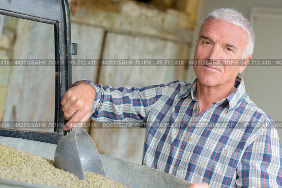 portrait of a farmer scooping dry feed. Стоковое фото, агентство Ingram Publishing / Фотобанк Лори