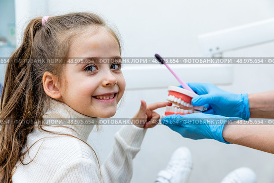 Portrait of a girl has fun and puts her finger into a model of jaws while sitting in a dental office. Children's dentistry. Children's teeth care. Стоковое фото, фотограф Ирина Михайличенко / Фотобанк Лори