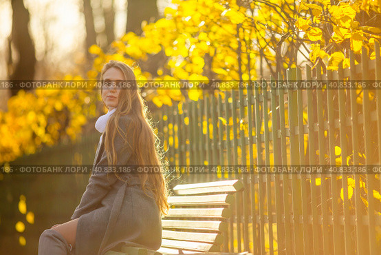 Portrait of a pretty young woman with light brown hair. A beautiful woman in an elegant coat sits on a bench in an autumn park against a background of yellow foliage. Fall season. Стоковое фото, фотограф Андрей Степанов / Фотобанк Лори