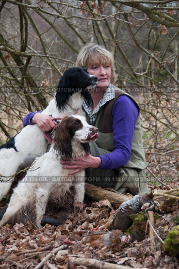 Portrait of a woman and her two spaniels. Стоковое фото, агентство Ingram Publishing / Фотобанк Лори
