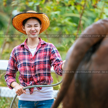 Portrait of Happy young Asian farmer woman wearing hat working to clean cow in farm. Agriculture industry, farming, people, technology and animal husbandry concept. Стоковое фото, агентство Ingram Publishing / Фотобанк Лори