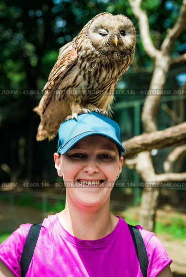 Portrait of laughing 36 years old Russian woman with Ural owl (Strix uralensis) bird sitting on her head. Стоковое фото, фотограф Татьяна Терехина / Фотобанк Лори