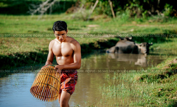 Portrait Young man topless use bamboo fishing trap to catch fish for cooking, Asian young farmer man in rural lifestyle, blurred buffalo is soaking in the swamp. in background. Стоковое фото, агентство Ingram Publishing / Фотобанк Лори