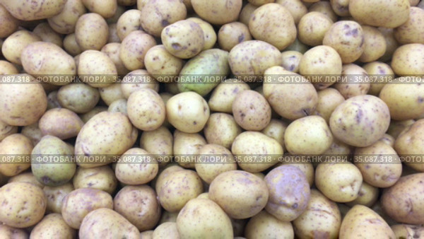 Potatoes are on sale in supermarket, close up view as a background. Стоковое видео, видеограф Кекяляйнен Андрей / Фотобанк Лори