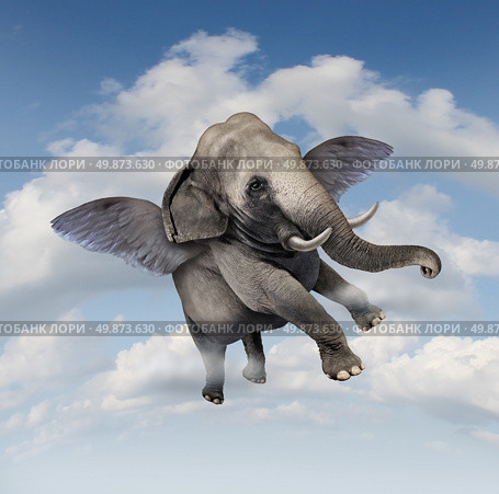 Potential and possibilities concept with a realistic elephant flying in the air using wings as a business symbol of achievement and belief in your abilities to succeed in upward growth. Стоковое фото, агентство Ingram Publishing / Фотобанк Лори