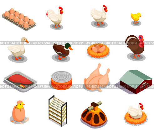 Poultry production isometric set of brood hen bird feeder canned goods eggs gastronomic products isolated vector illustration. Стоковая иллюстрация, агентство Ingram Publishing / Фотобанк Лори