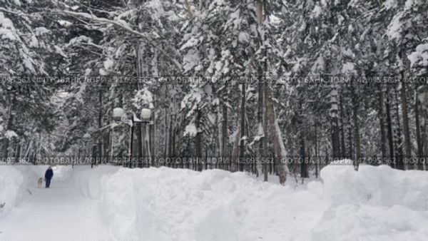 POV shot while walking on a narrow path covered with white snow surrounded by coniferous forest trees on a cold winter day. Стоковое видео, видеограф Сахарова Мария Юрьевна / Фотобанк Лори