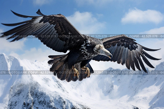 Powerful Condor flying mountains. Generate Ai. Стоковое AI-изображение, AI-художник Иван Рябоконь / Фотобанк Лори