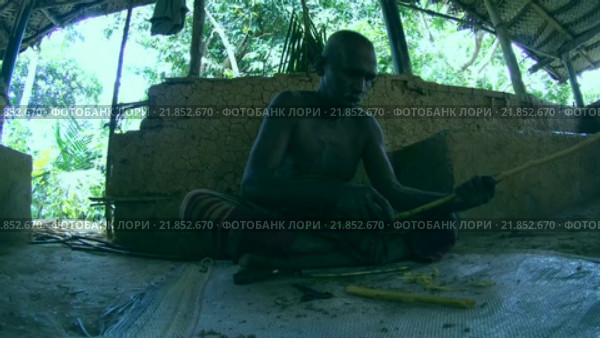 Пожилой мужчина очищает палочку ванили, Шри-Ланка (2016 год). Редакционное видео, видеограф Некрасов Андрей / Фотобанк Лори