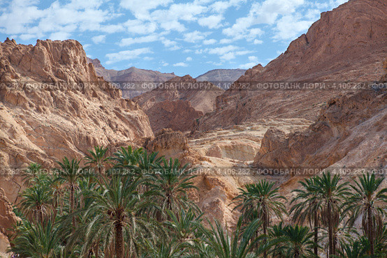 Предгорье Атласских гор. Оазис с водопадом в местности Chebika, Tunisia, Africa (2012 год). Стоковое фото, фотограф Кекяляйнен Андрей / Фотобанк Лори