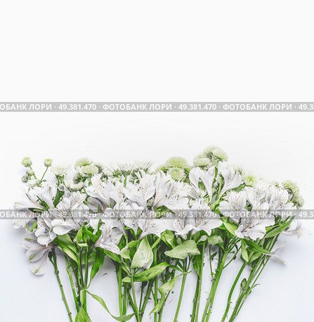 Pretty white and green flowers on white background, top view. Floral layout or card for wedding or other holidays with copy space. Стоковое фото, агентство Ingram Publishing / Фотобанк Лори