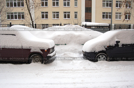 Припорошило... (2010 год). Стоковое фото, фотограф Елена Ильина / Фотобанк Лори