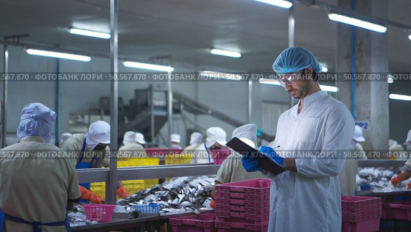 Production control supervisor inspects and controls the operation of each step in the production line of a canned fish factory. Стоковое фото, агентство Ingram Publishing / Фотобанк Лори