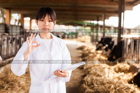 Professional female vet standing near calves barn in livestock farm. Стоковое фото, фотограф Яков Филимонов / Фотобанк Лори