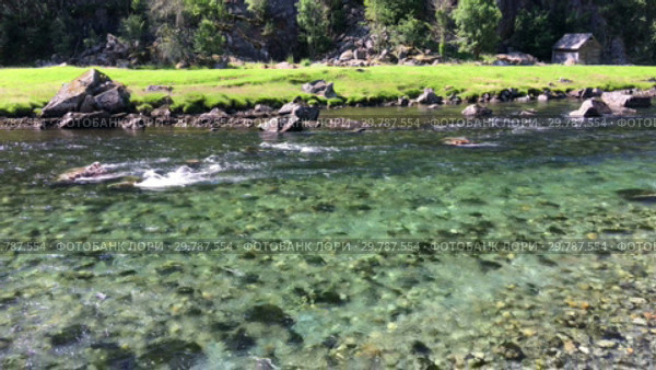 Прозрачная чистая вода в горном ручье (2019 год). Стоковое видео, видеограф Кекяляйнен Андрей / Фотобанк Лори