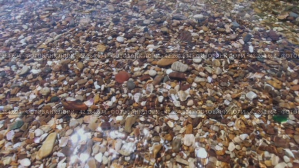 Прозрачная рябь на поверхности моря с мелкой галькой на дне. Морская вода и камни на пляже. Стоковое видео, видеограф Евгений Ковальский / Фотобанк Лори
