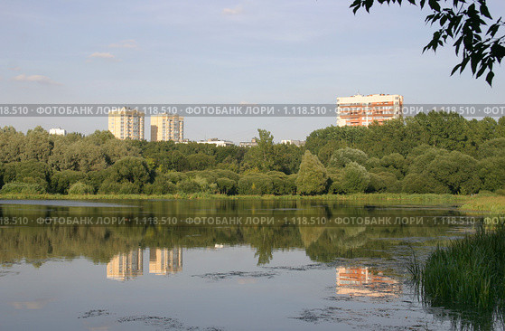 Пруд, городской парк и новостройки (2009 год). Стоковое фото, фотограф Наталия Шевченко / Фотобанк Лори