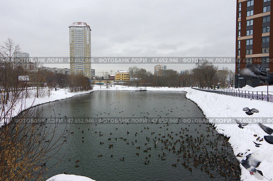 Пруд на речке Ольховке в Екатеринбурге (2021 год). Редакционное фото, фотограф Алексей Иванов / Фотобанк Лори