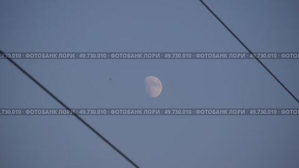 Птица пролетает на фоне луны. Стоковое видео, видеограф Сергей Мартынов / Фотобанк Лори