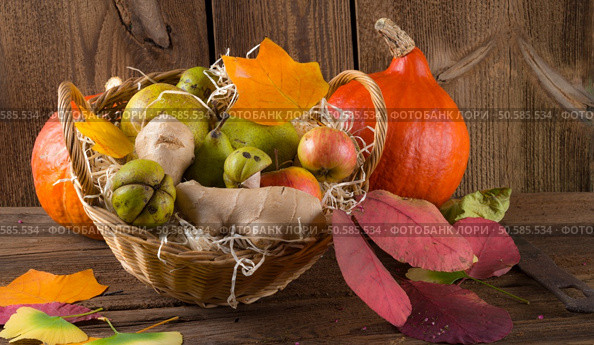 pumpkin apfel basket. Стоковое фото, агентство Ingram Publishing / Фотобанк Лори