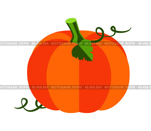 Pumpkin with leaves, sweet ripe vegetable of autumn season, princess party and attribute, cartoon vector illustration isolated on white background.. Pumpkin with Leaves Poster Vector Illustration. Стоковая иллюстрация, агентство Ingram Publishing / Фотобанк Лори