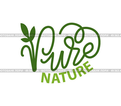 Pure nature lettering and green calligraphy, logo with garden plant isolated. Vector label of ecology friendly natural environment, leaf organic logotype. Pure Nature Lettering and Green Calligraphy, Logo. Стоковая иллюстрация, агентство Ingram Publishing / Фотобанк Лори