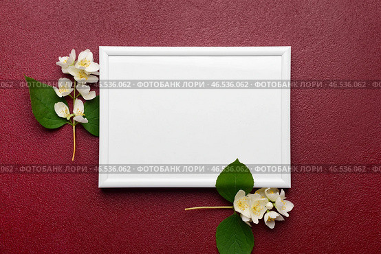 Пустая фоторамка и красивые цветы на красном фоне. Стоковое фото, фотограф Pixel_shot / Фотобанк Лори