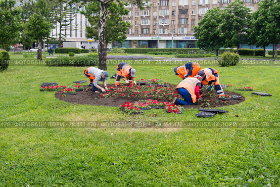 Работники высаживают цветы на круглую клумбу (2018 год). Редакционное фото, фотограф Дмитрий Рыженков / Фотобанк Лори