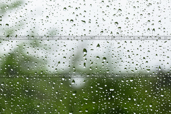 Raindrops scatter across a clear windowpane, macro photo. Стоковое фото, фотограф EugeneSergeev / Фотобанк Лори