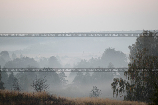 Раннее утро и туман в Подмосковье, район Коломны (2014 год). Стоковое фото, фотограф Дмитрий Неумоин / Фотобанк Лори