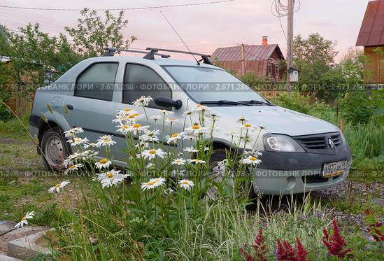 Ранним утром на даче. Автомобиль Рено Логан (2011 год). Редакционное фото, фотограф Александр Щепин / Фотобанк Лори