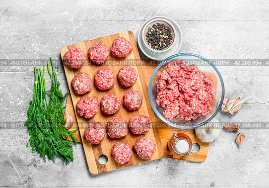 Raw beef meatballs with spices and fragrant dill . Стоковое фото, фотограф Артем Шадрин / Фотобанк Лори