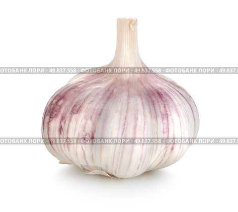 Raw garlic isolated on a white background. Стоковое фото, агентство Ingram Publishing / Фотобанк Лори