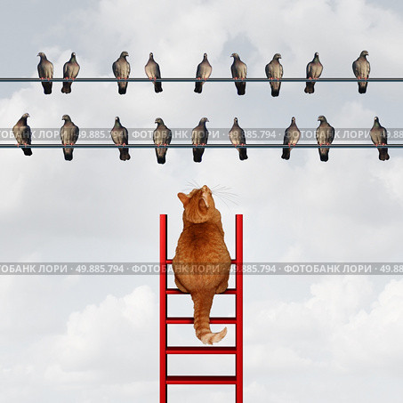 Reaching your goal concept and setting goals business metaphor as a cat climbing a ladder to reach a group of birds on a high wire as a motivation symbol for strategy and planning. Стоковое фото, агентство Ingram Publishing / Фотобанк Лори