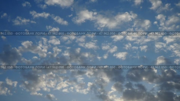 Real time video with altocumulus high cumulus heaped cloud stratocumuliform. Globular masses or rolls in patches. Cumuliform stratocumuliform clouds altocumulus signifies convection. Blue evening sky. Стоковое видео, видеограф Юлия Петровская / Фотобанк Лори