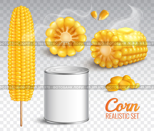 Realistic corn in cob, grains, baked buttered maize, canned product, set on transparent background isolated vector illustration. Realistic Corn Transparent Set. Стоковая иллюстрация, агентство Ingram Publishing / Фотобанк Лори