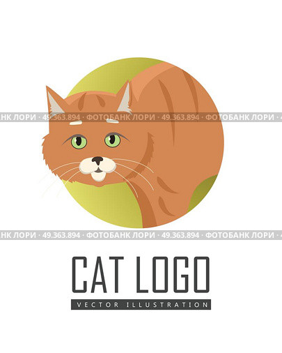 Red Cat Vector Flat Design Illustration. Aggressive or frightened red cat with arched back flat vector illustration isolated on white background. Domestic animal emotions and behavior. For pet shop ad, animalistic hobby concept, breeding. Стоковая иллюстрация, агентство Ingram Publishing / Фотобанк Лори