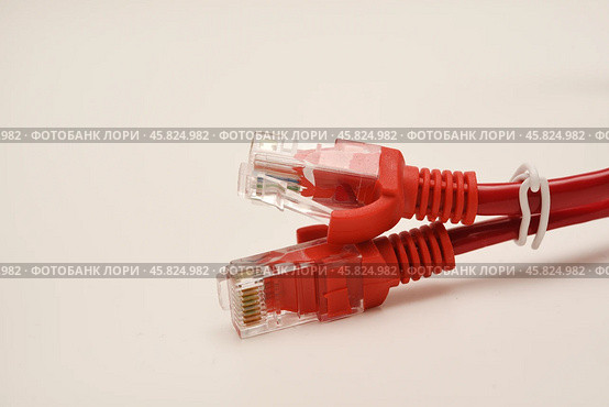 Red internet cable on a white background. The RJ-45 connector. Стоковое фото, фотограф Valeriy Lushchikov / Фотобанк Лори