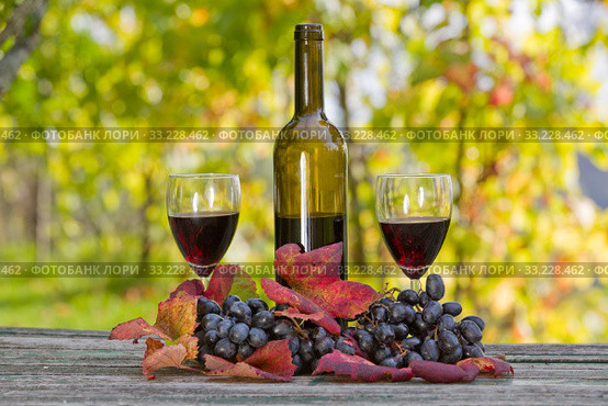 Red wine. Стоковое фото, фотограф Rui Vale de Sousa / Smarterpix / Фотобанк Лори