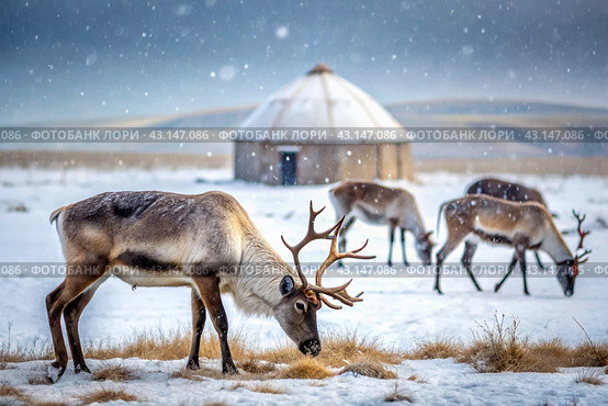 Reindeer graze against the background of a tundra landscape and a winter yurt. Snow is falling. Snowstorm. Стоковое AI-изображение, AI-художник Photojuli / Фотобанк Лори