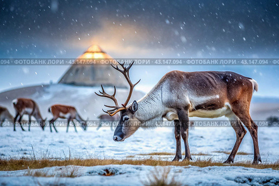 Reindeer graze against the background of a tundra landscape and a winter yurt. Snow is falling. Snowstorm. Стоковое AI-изображение, AI-художник Photojuli / Фотобанк Лори