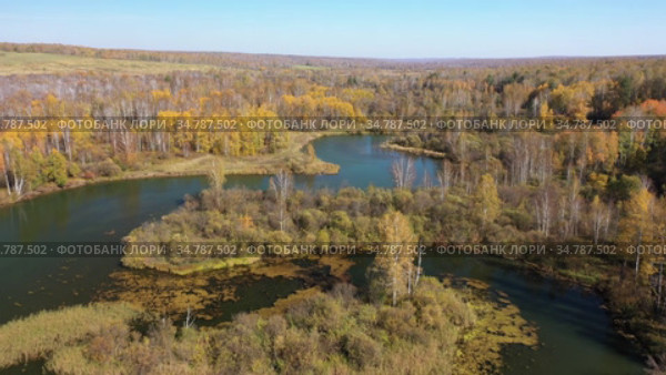 Река Коён под Новосибирском, вид сверху / Aerial video of meanders of the Koen river. Beautiful autumn landscape from above. (2020 год). Стоковое видео, видеограф Сергей Пристяжнюк (Serg Zastavkin) / Фотобанк Лори