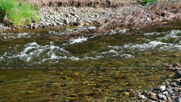 Река Коярд (приток реки Ус) у парка Ергаки в Саянах / Stones and pebbles under the transparent water on the bottom of river (2018 год). Редакционное видео, видеограф Сергей Пристяжнюк (Serg Zastavkin) / Фотобанк Лори